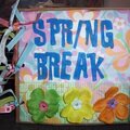 Spring Break Paper Bag Album