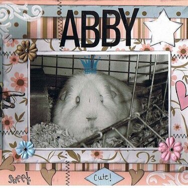 Abby - Guinea Pig