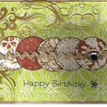 Happy Birthday!  (Various Cards) Hambly