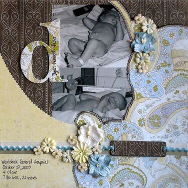 Birth of Dylan *new BG LilyKate line*