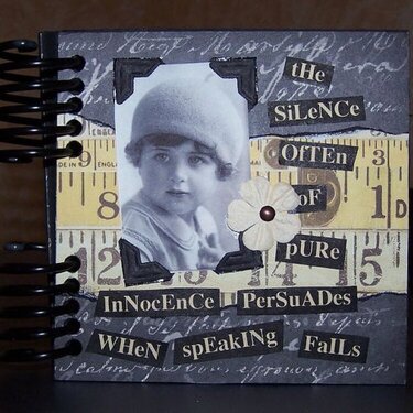 Altered Book: I used my new Crop-A-Dile!  