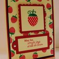 *new* Papertrey stamp set: Strawberries