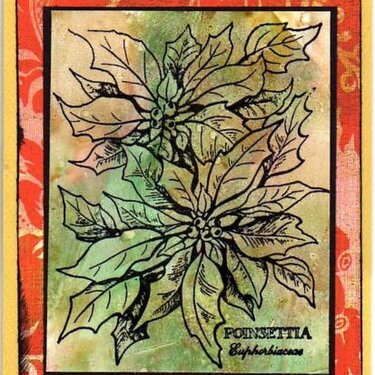 Poinsettia ~ for Sherri's Christmas in July swap ~