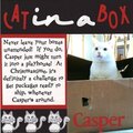 Cat in a Box! justjohanna