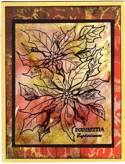 Poinsettia ~ for Sherri&#039;s Christmas in July swap ~