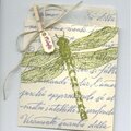 Dragonfly giftwrap pocket
