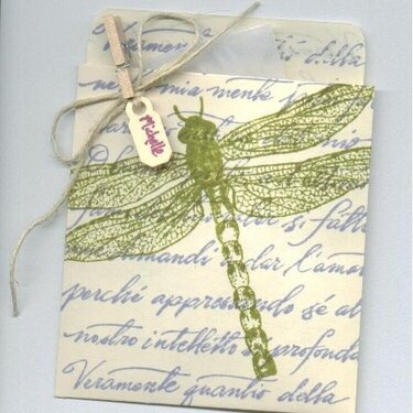 Dragonfly giftwrap pocket
