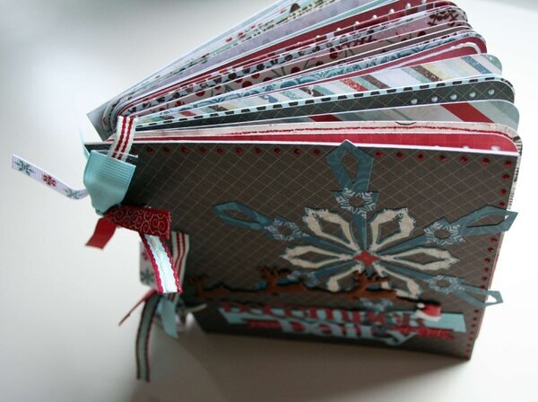 December Daily 2011 (my first one)