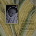 A Baby Ear of Corn (funny journaling)