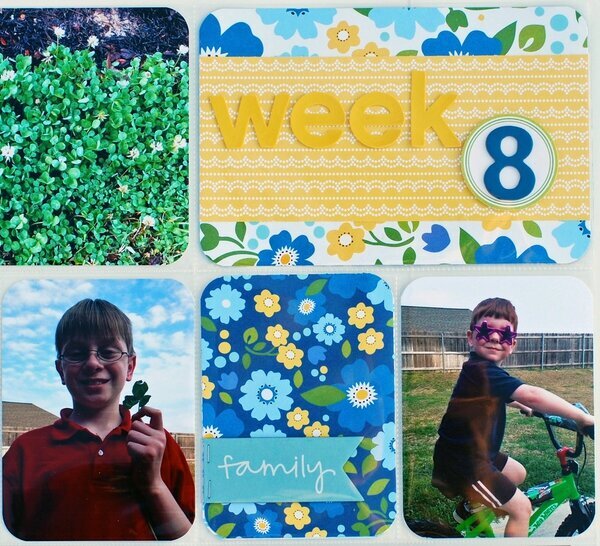 Project Life:  Week 8