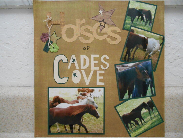 The horses of Cades Cove