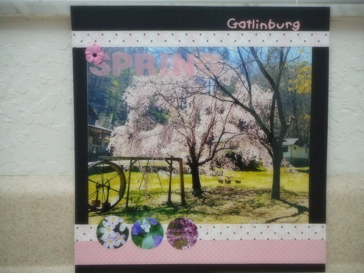 Spring in Gatlinburg