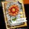 Sunflower Kindness