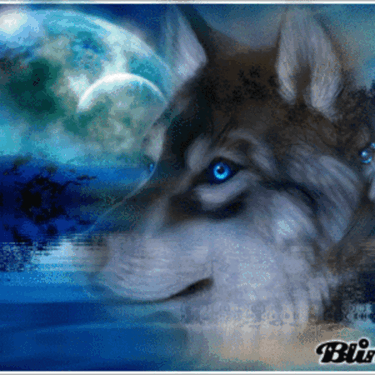 blue eyed wolf