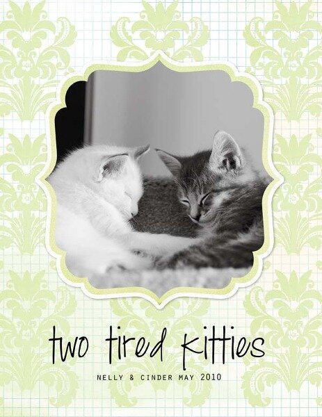 two tired kitties