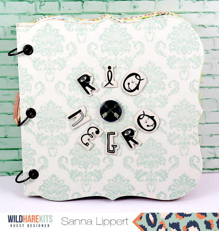 Rio Negro Travel Minibook