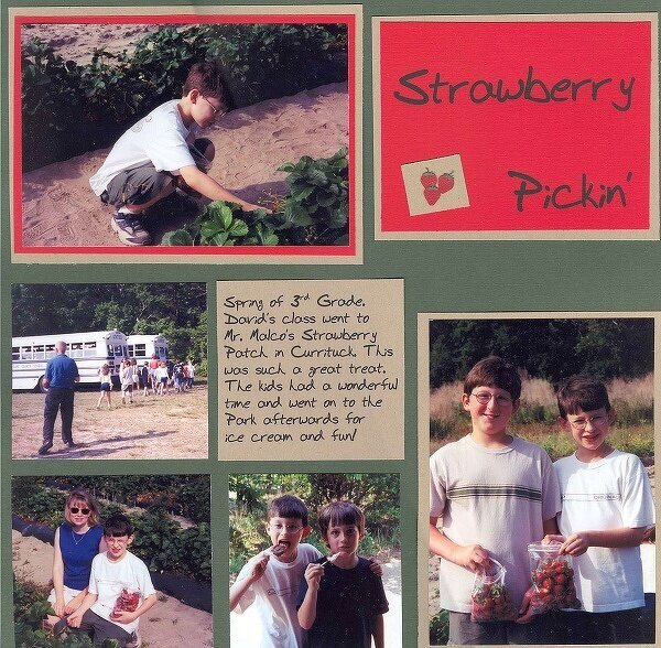 Strawberry Pickin