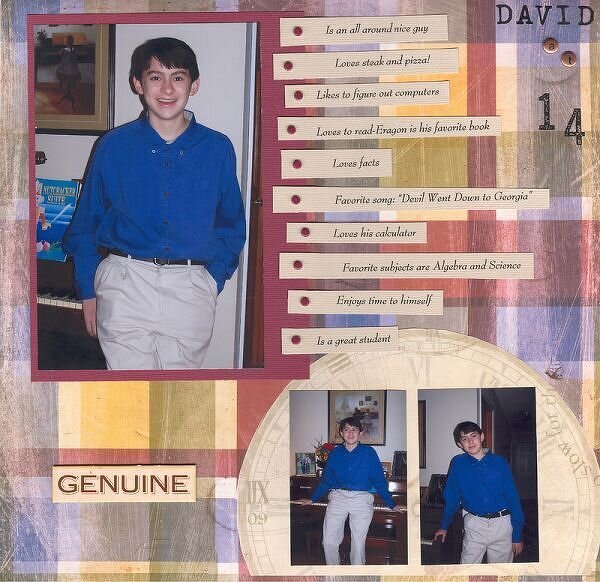 David at Fourteen