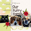 Our Furry Family