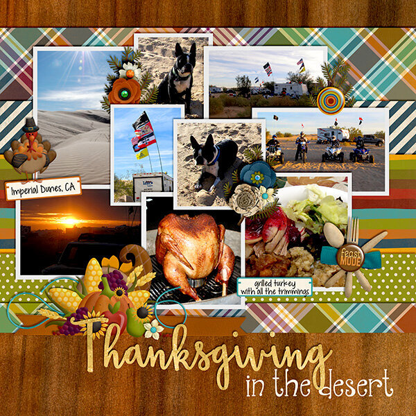 Thanksgiving in the desert