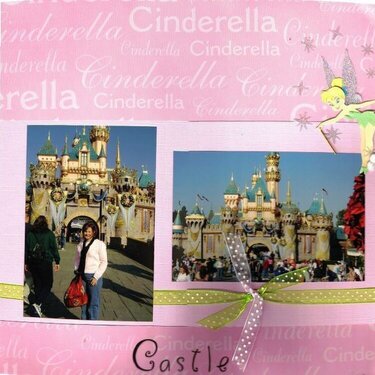 Cinderella&#039;s Castle * Lift from MCannon