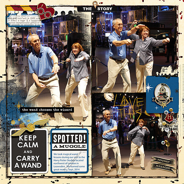 2014 Keep Calm and Carry a Wand Project Idea