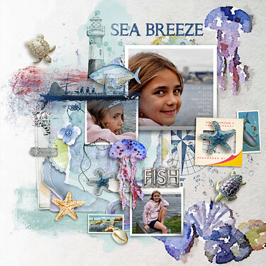 2014 Sea Breeze Alex at Alki