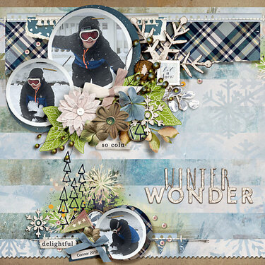 2019 Winter Wonder