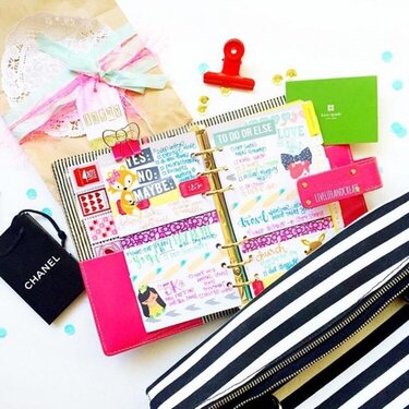 Color Crush Insert inside Kate Spade