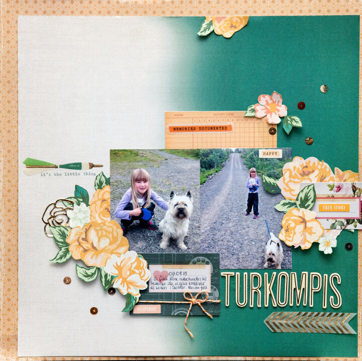 Turkompis /buddies (39/52)