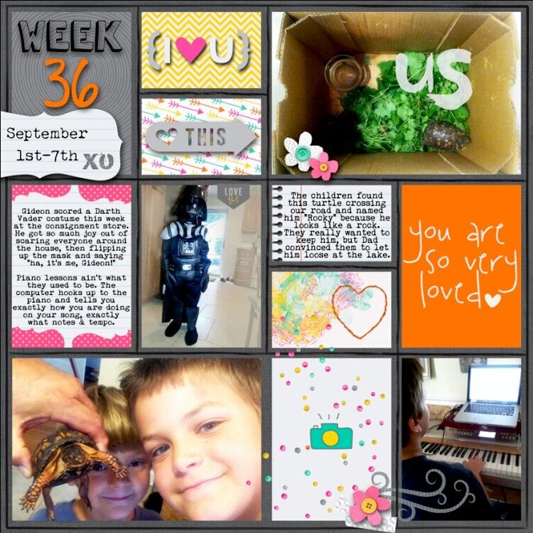 Project Life Week 36