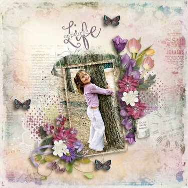 Life Captured Collection by Snickerdoodle Designs