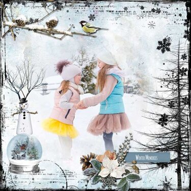 Artful Memories Winter by Vicki Robinson Designs 