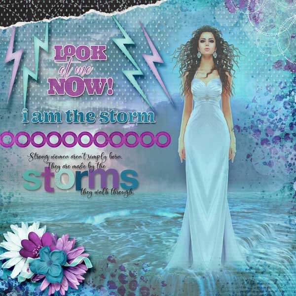 I Am The Storm  by Fayette Designs