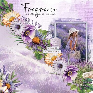  Provence collection by Daydream Designs 