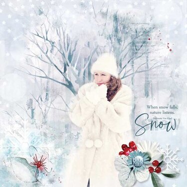 Winter White Dreams  by Chunlin Designs 