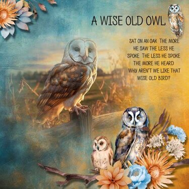 A Wise Old Owl  by Ilonka&#039;s Designs  