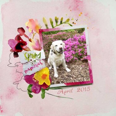 Celebrate spring by emeto designs