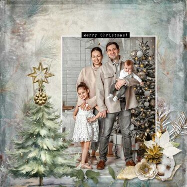 Christmas Wishes by Dutch Dream Designs 