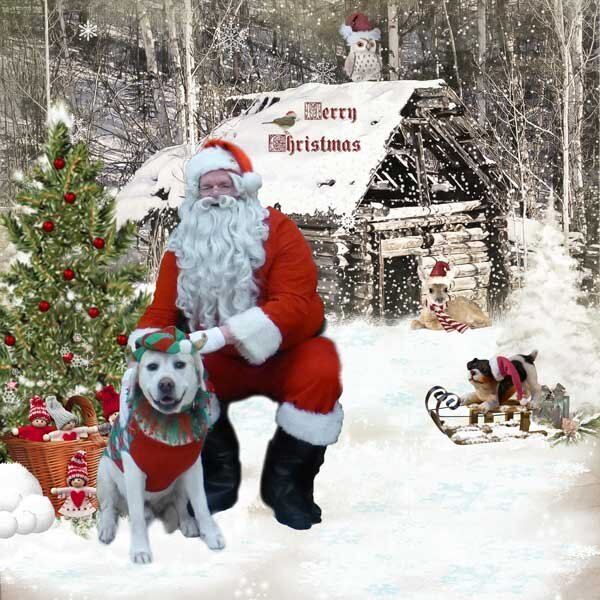 Christmas with my pets by perline designs
