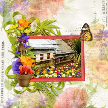 Colorful garden by DitaB Designs