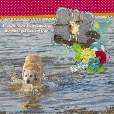 Dog Days of Summer by Scrappin&#039; Serenity