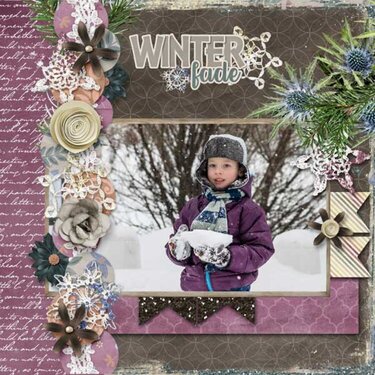 Fade to Winter Collection by Aimee Harrison