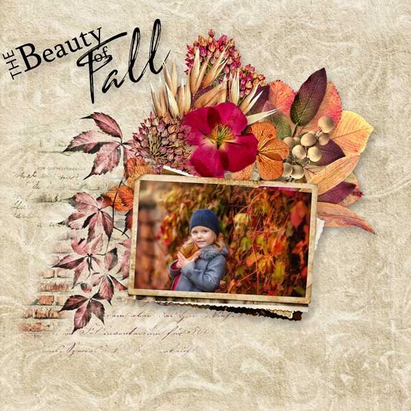 Fancy of fall by by D&#039;s Design  