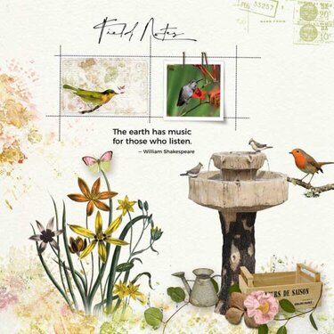  Field Notes by  Vicki Robinson Designs