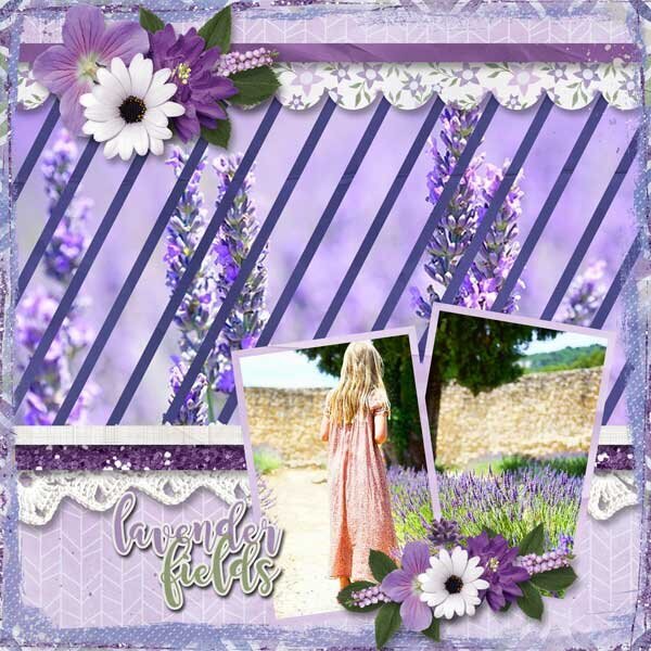 Fields of Lavender Collection by Aimee Harrison