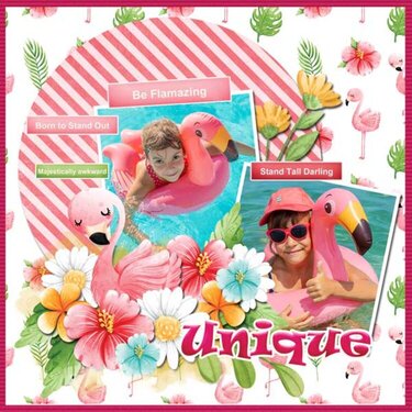 Flamingo Road Collection by Scrapbookcrazy Creations 