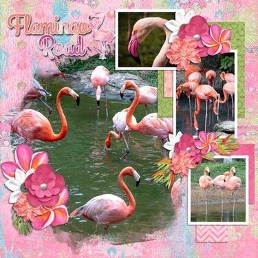 Flamingo Road Page Kit by Aimee Harrison 