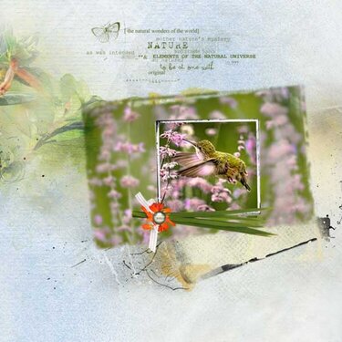 ArtPlay Palette Hummingbird by Anna Aspnes Designs