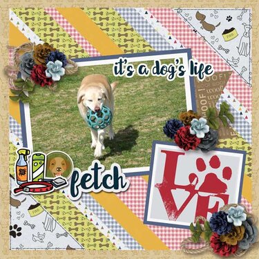 It&#039;s A Dog&#039;s Life by Memory Mosaic
